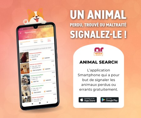 Illustration de l'actualité - cliquer pour agrandir