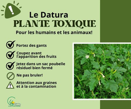 Illustration de l'actualité - cliquer pour agrandir