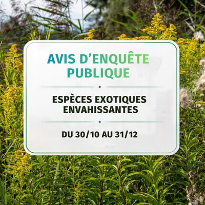 Avis d'enquête publique - Espèces exotiques envahissantes