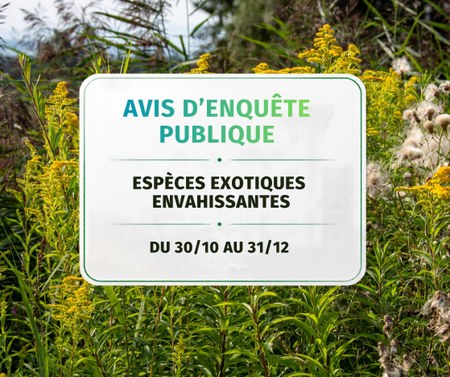 Illustration de l'actualité - cliquer pour agrandir