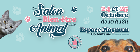 Illustration de l'actualité - cliquer pour agrandir